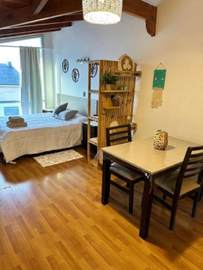 Moderno LOFT centrico